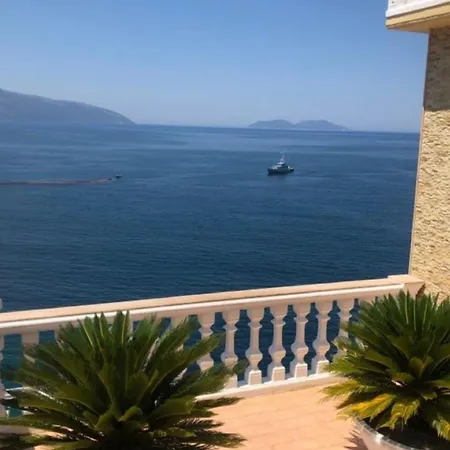 The Luel Spot Vlore